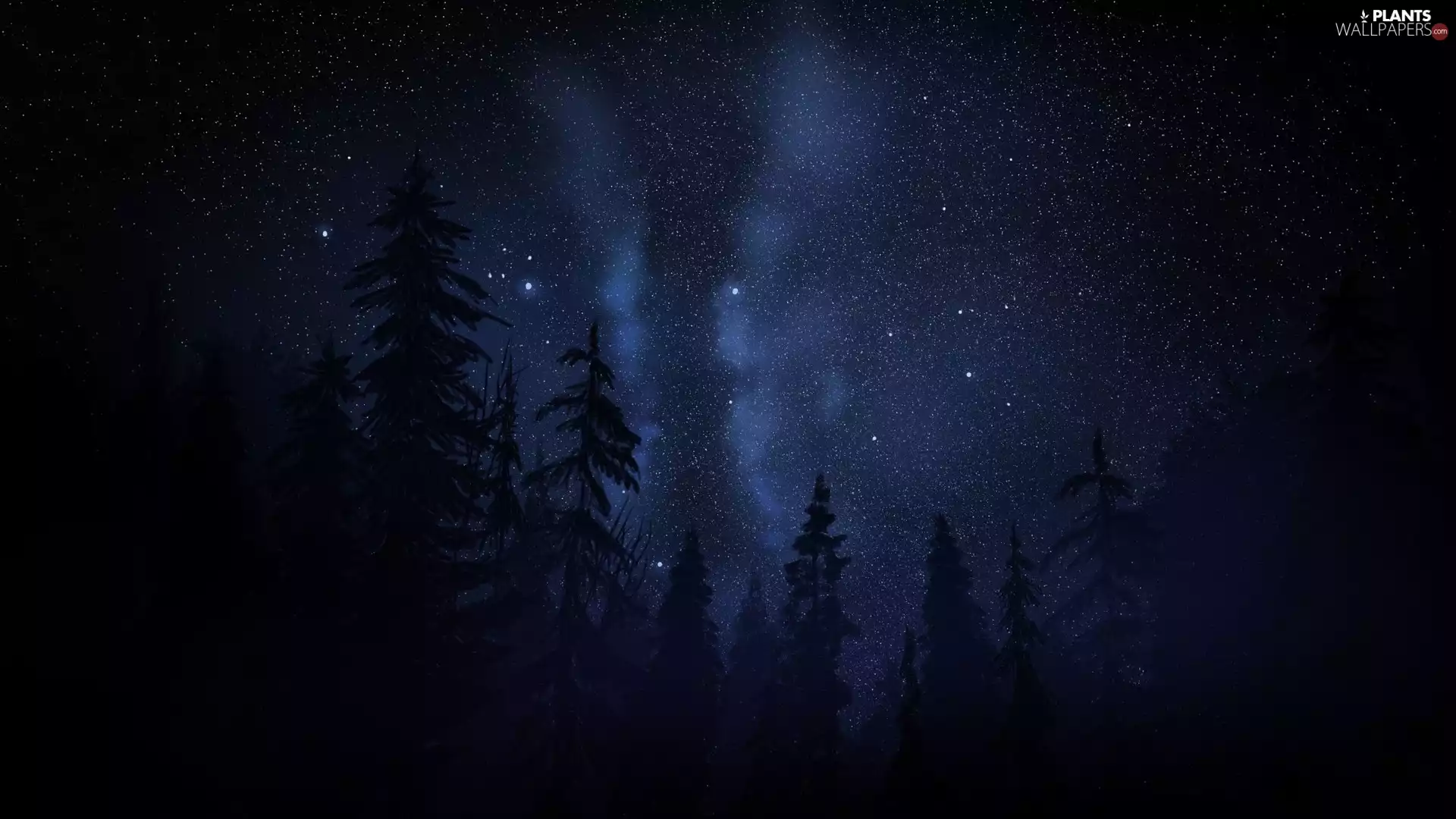 trees, viewes, Night, star, graphics