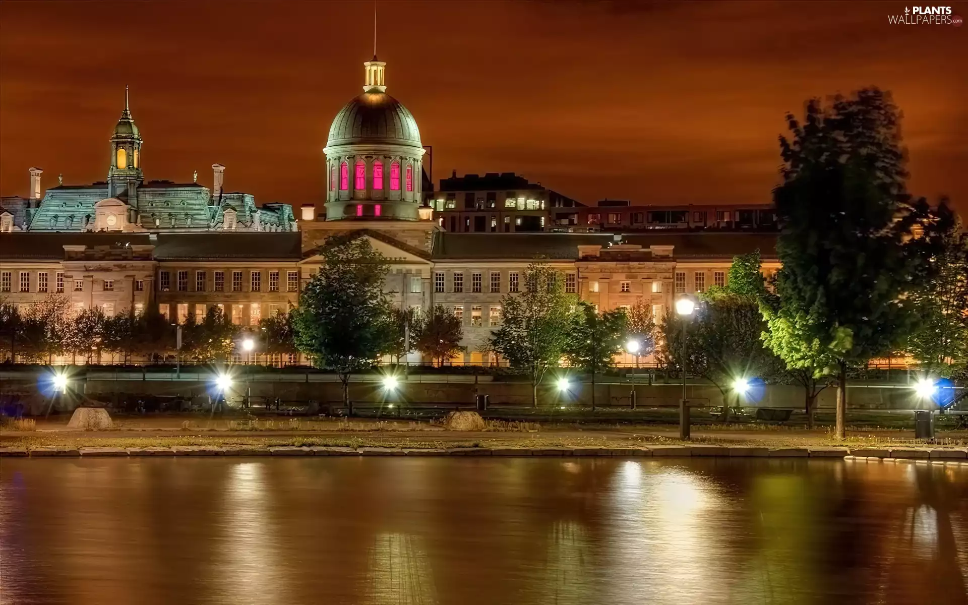 trees, viewes, night, River, Town