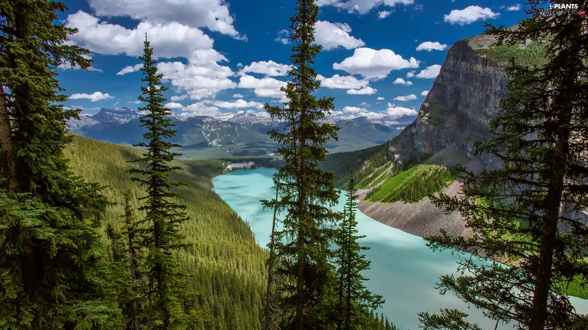 Banff National Park, Canada, Lake Moraine, Mountains, trees, viewes, viewes, woods, trees