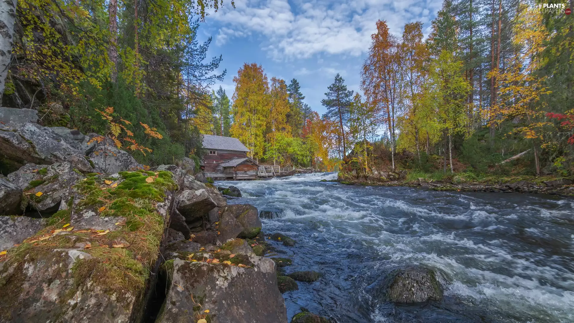 Oulanka National Park, autumn, wooden, Myllykoski Mill, Lapland, Finland, viewes, River, trees