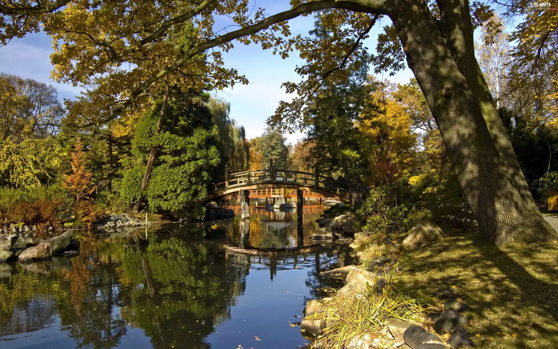 old, River, viewes, Park, trees, bridges