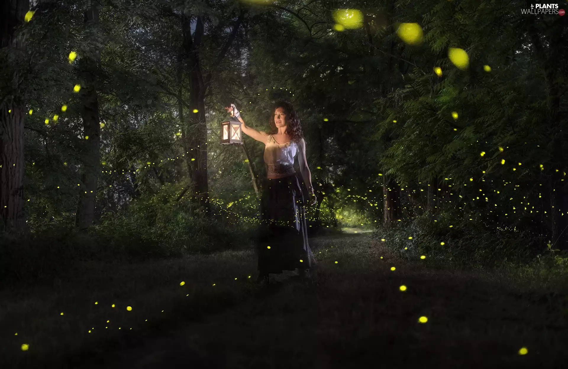 Women, evening, trees, viewes, lantern, Park