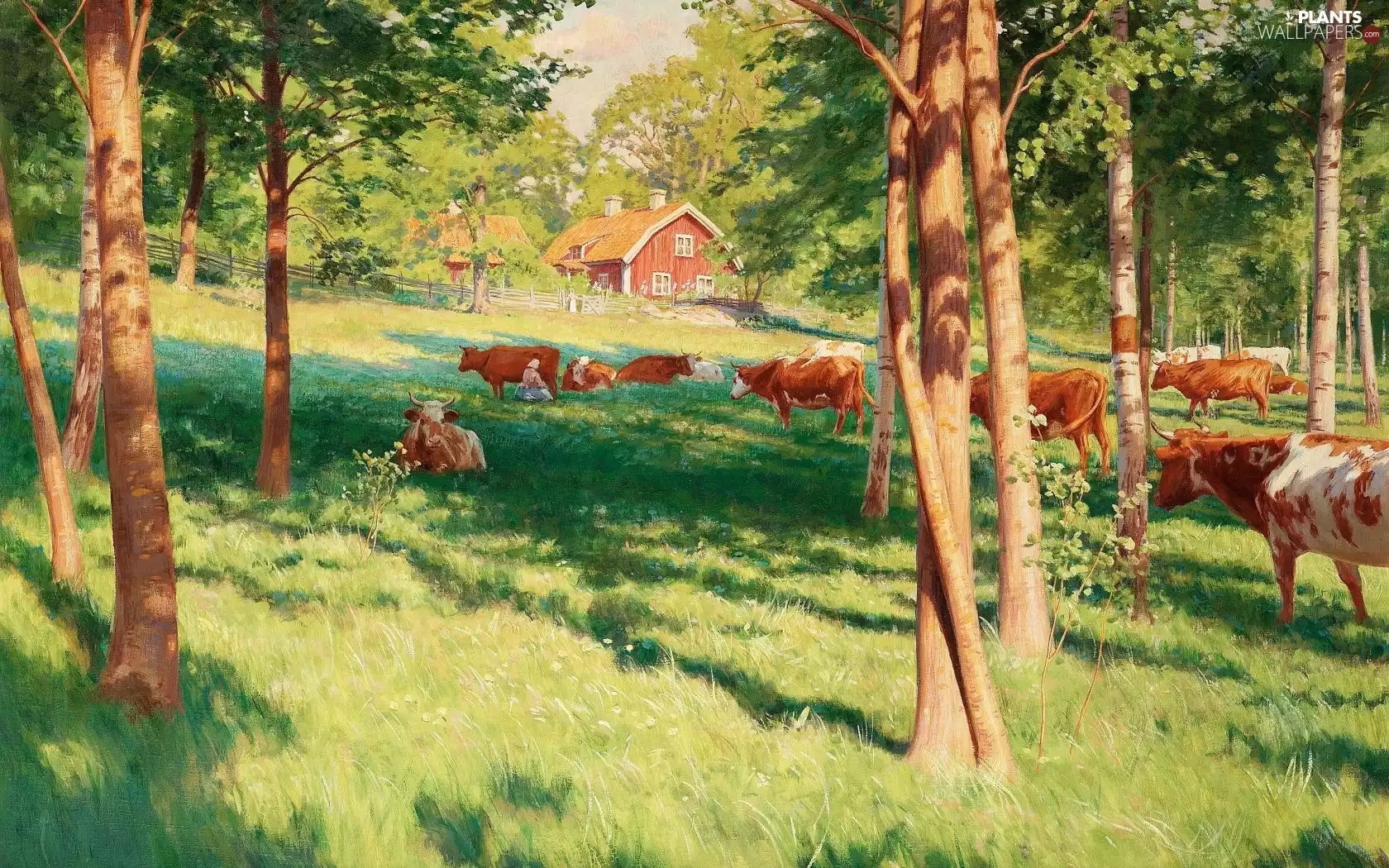 trees, viewes, pasture, Cows, Meadow