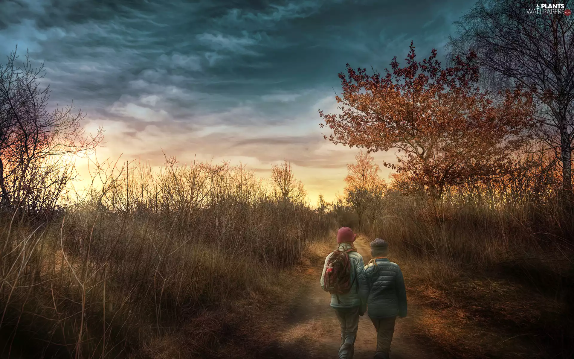 trees, viewes, Path, autumn, Kids