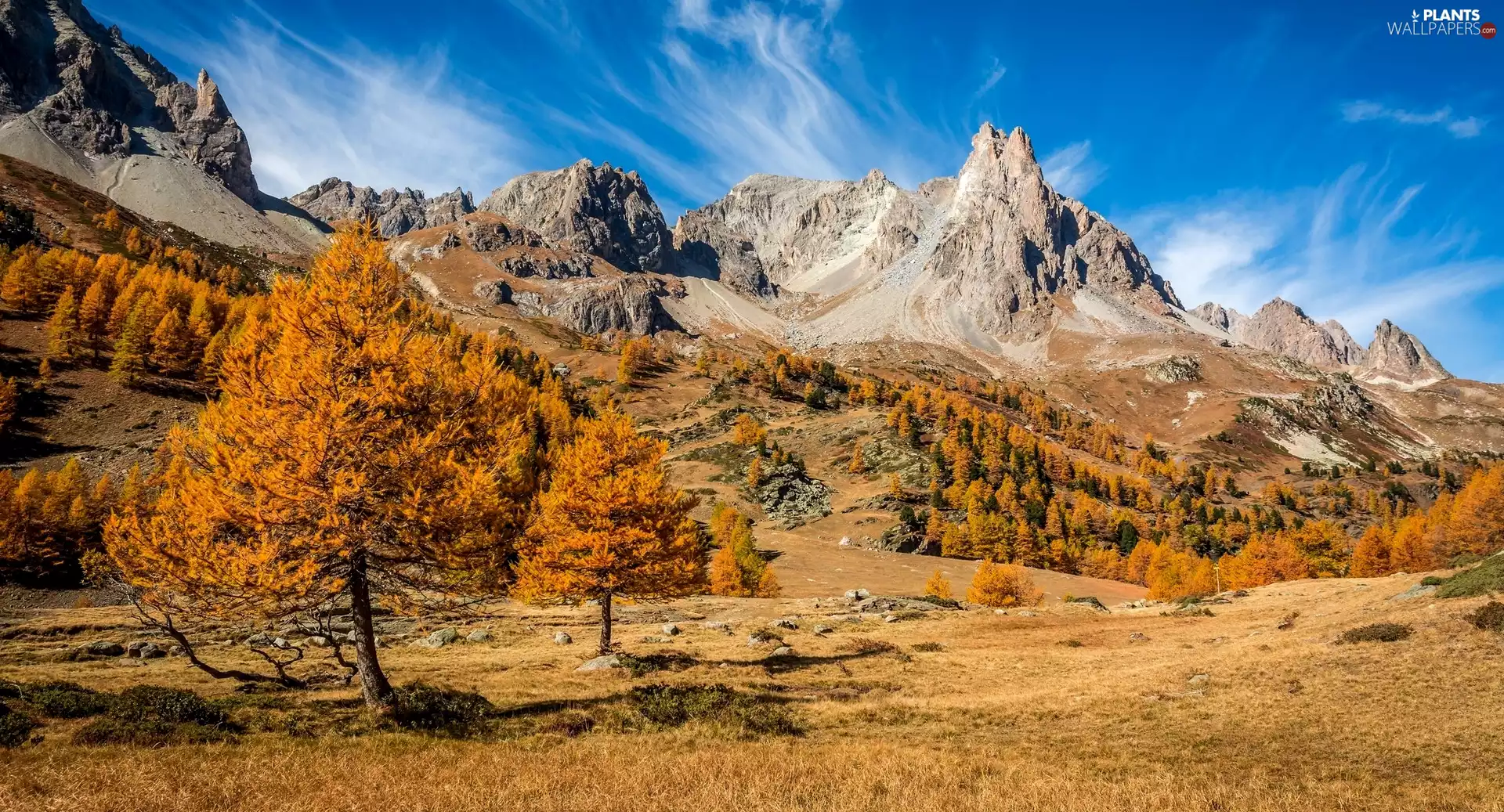 trees, viewes, peaks, Mountains, autumn