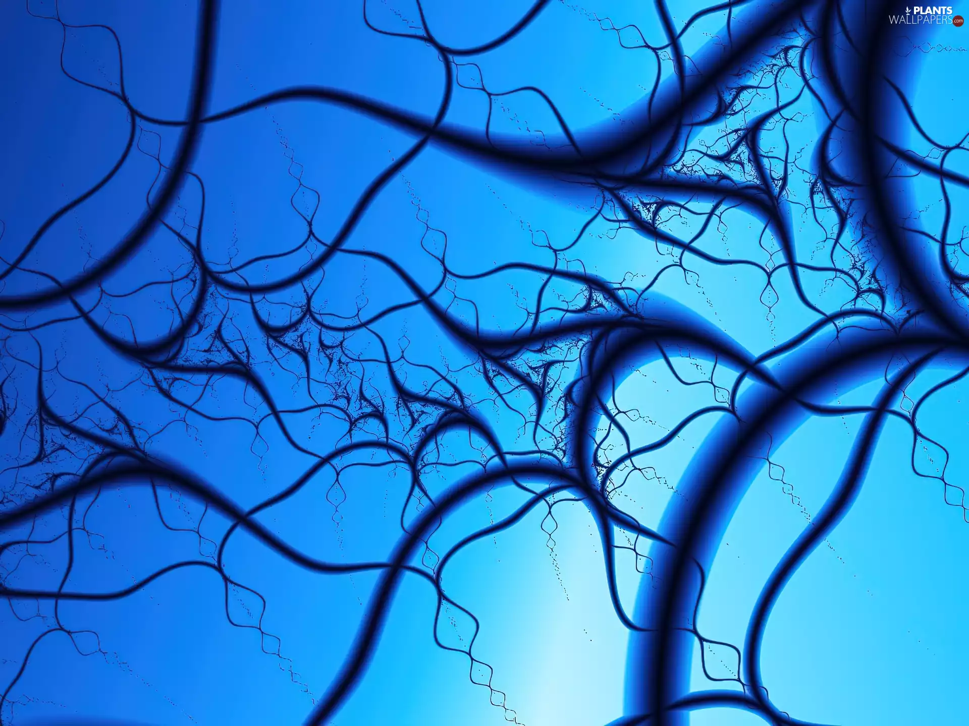 Blue, background, trees, viewes, branch pics