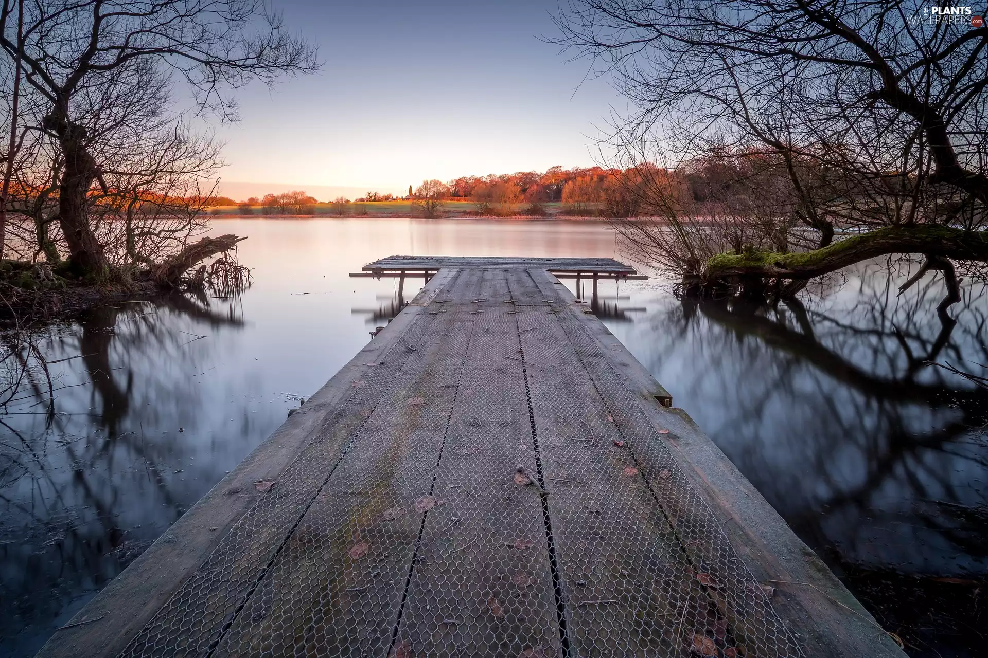 trees, viewes, Platform, autumn, lake
