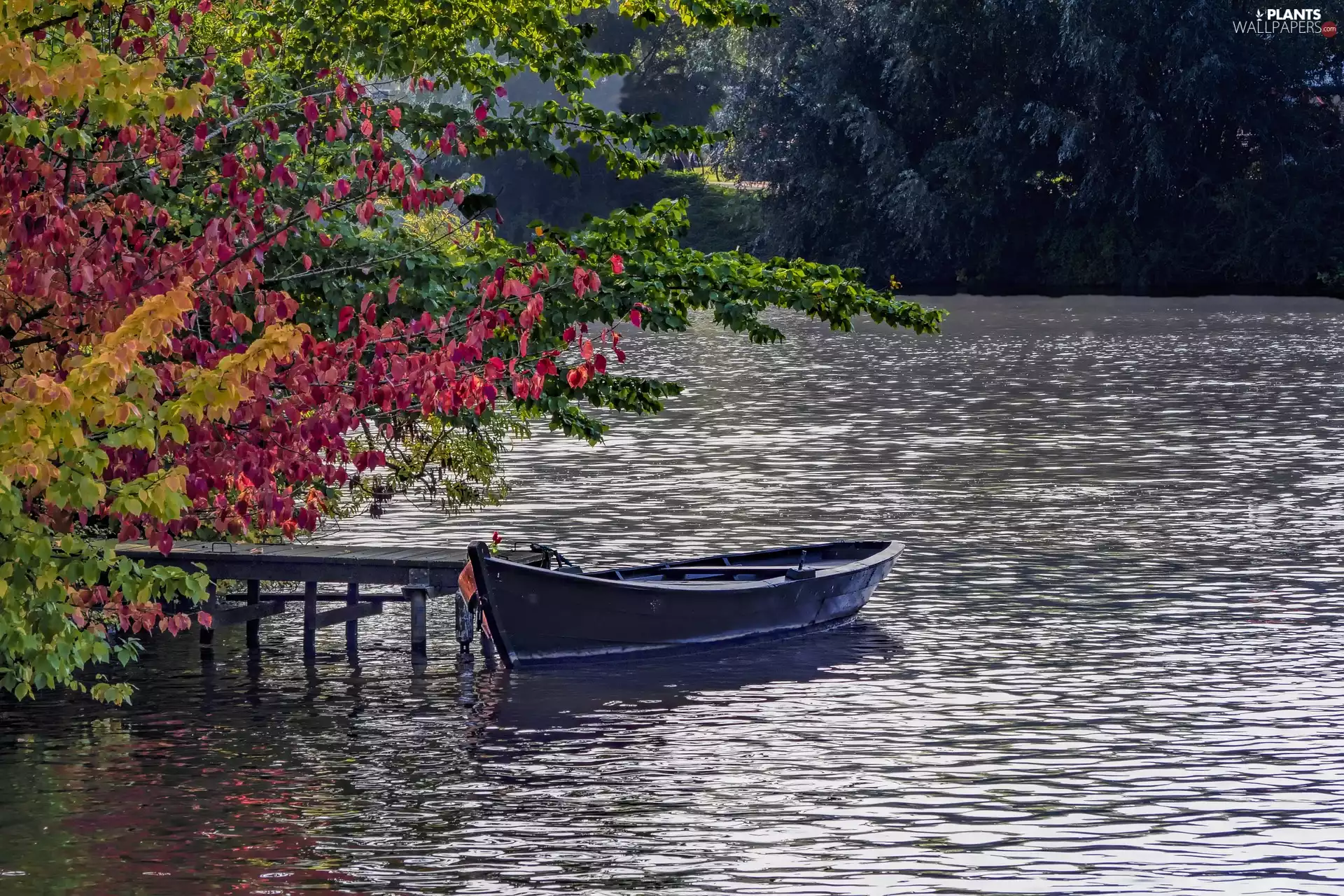 Boat, River, trees, viewes, color, Platform