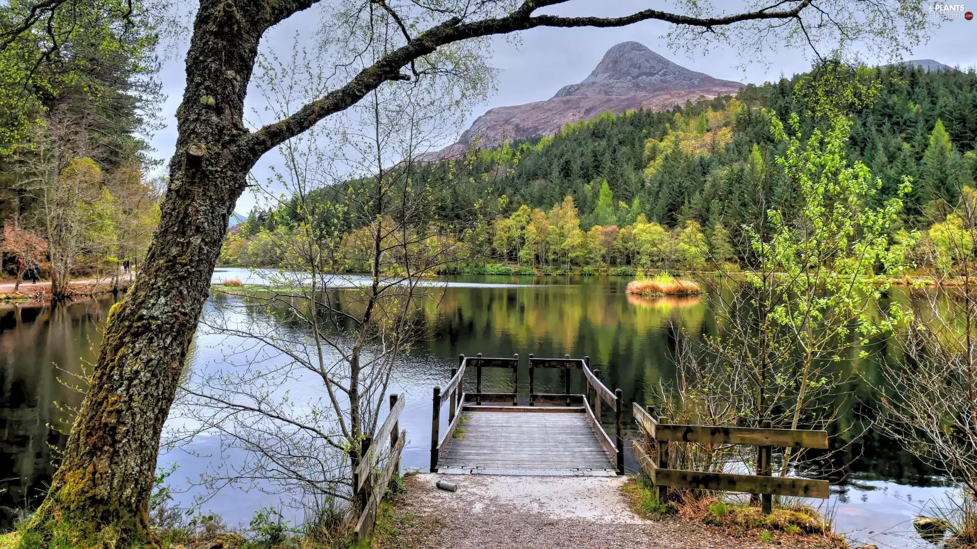 Mountains, lake, trees, viewes, woods, Platform