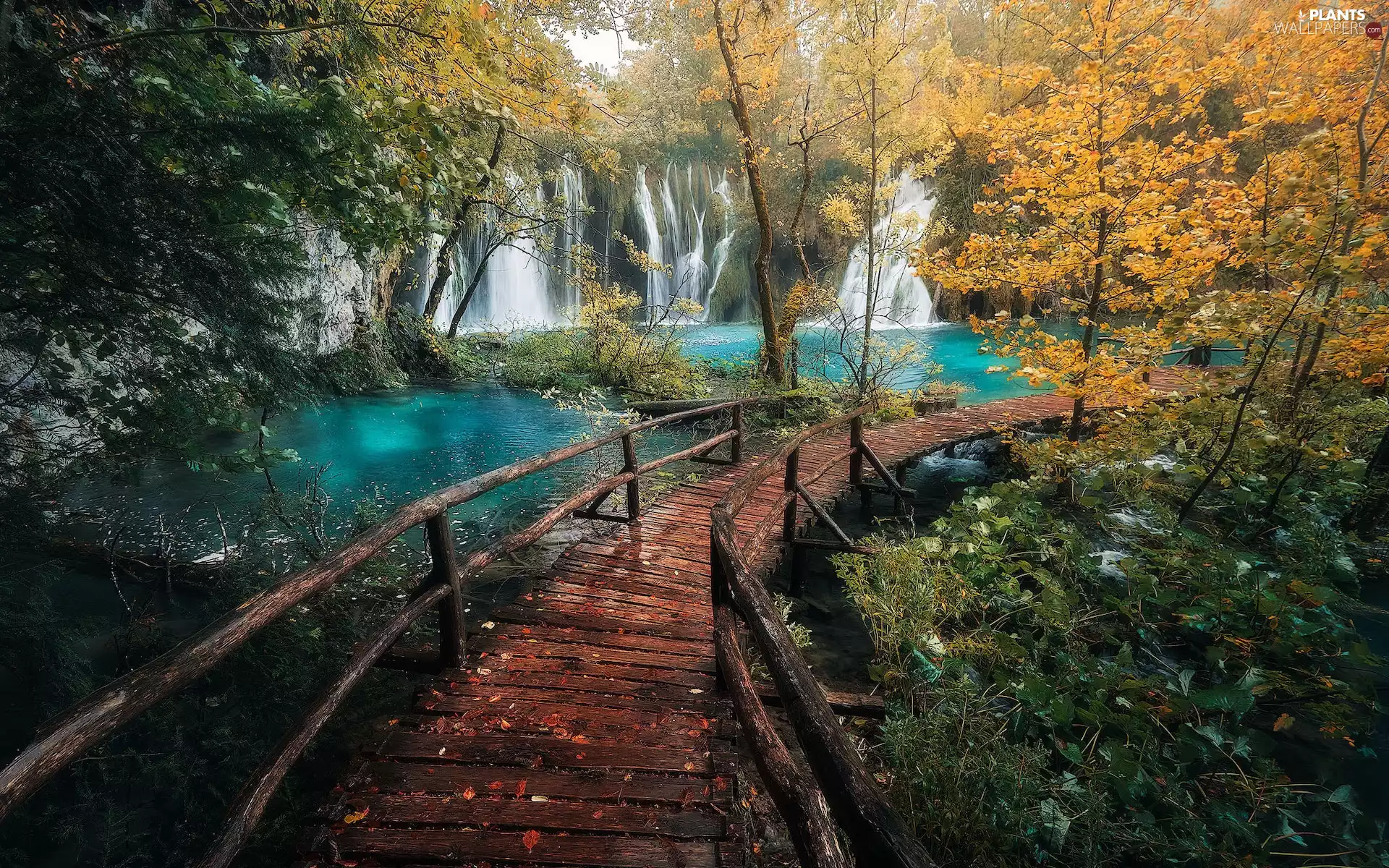 Plitvice, Coartia, Plitvice Lakes National Park, waterfalls, footbridge, Platform, viewes, autumn, trees