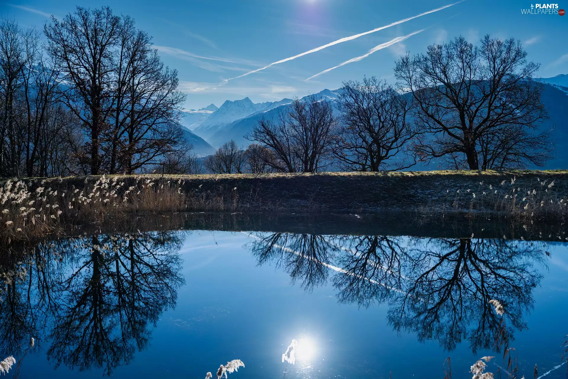 viewes, Mountains, sun, Sky, reflection, trees, Pond - car, Blue