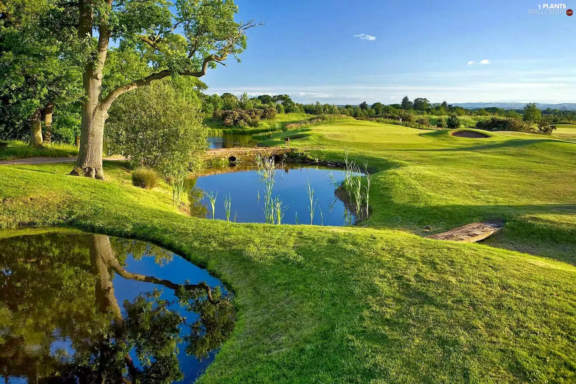 Bridges, medows, trees, viewes, Copses, ponds