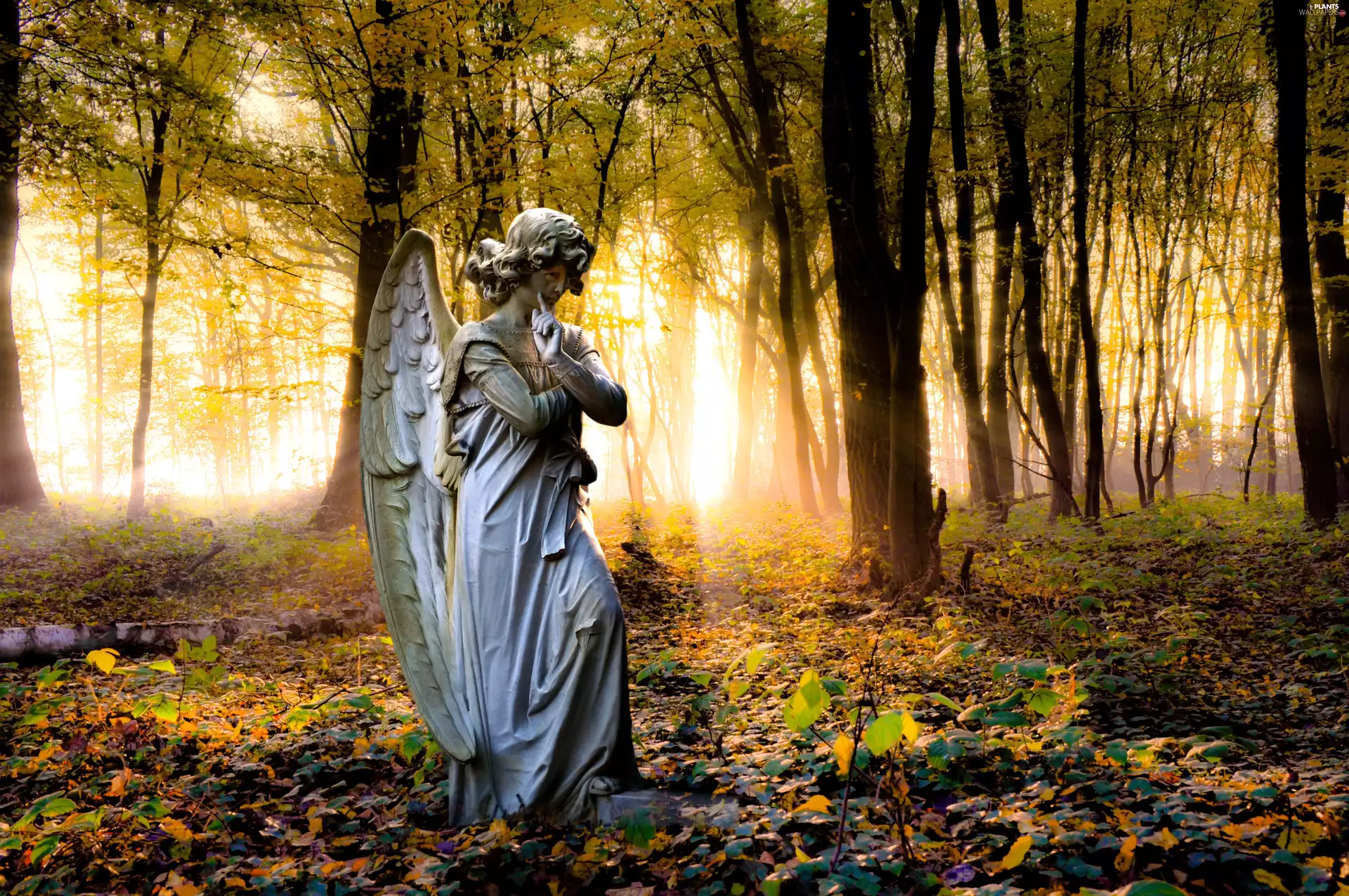 flash, sun, luminosity, viewes, trees, Leaf, ligh, forest, autumn, Przebijające, Statue monument, angel