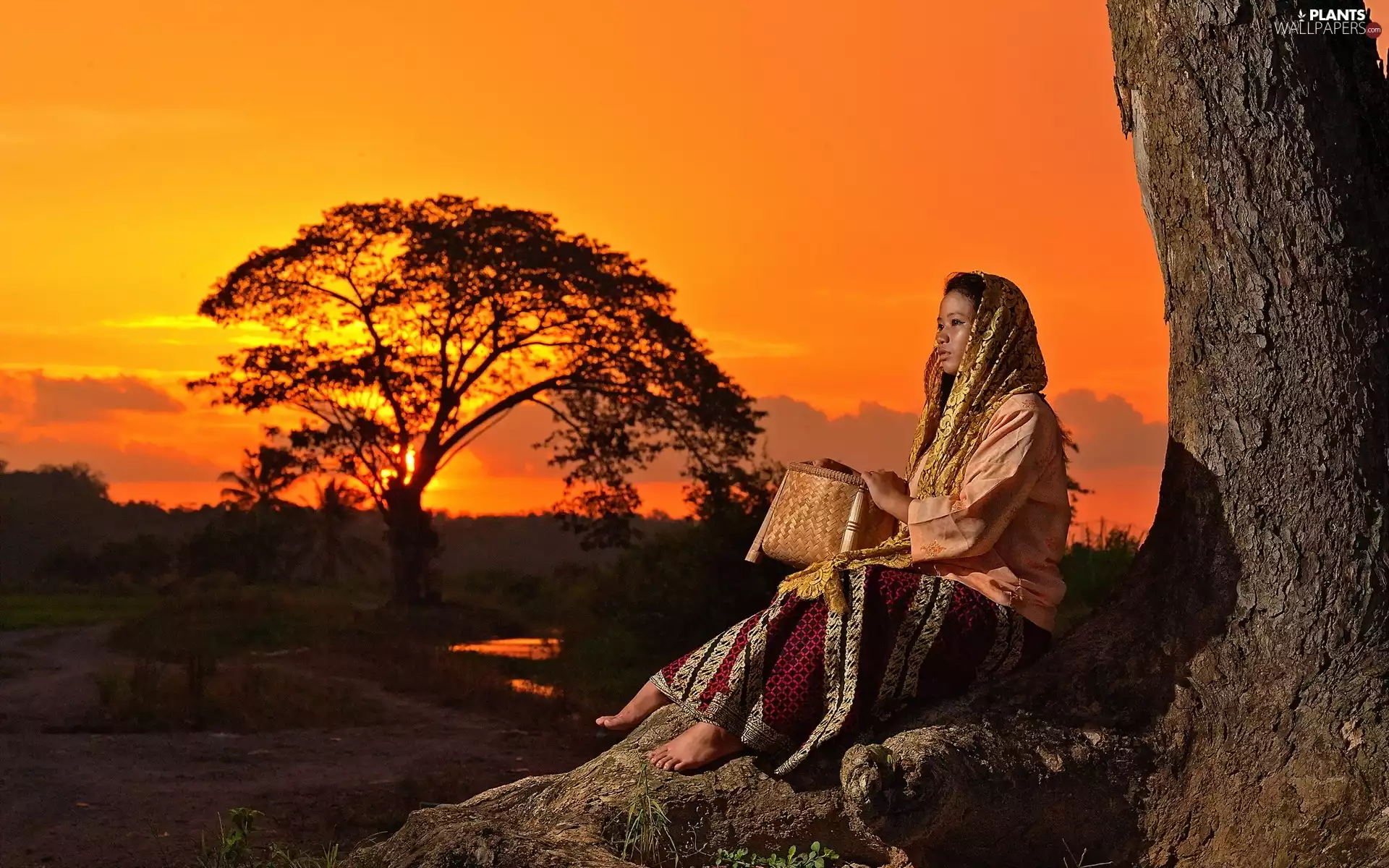west, sun, Purse, trees, scarf, Women, sitting, viewes