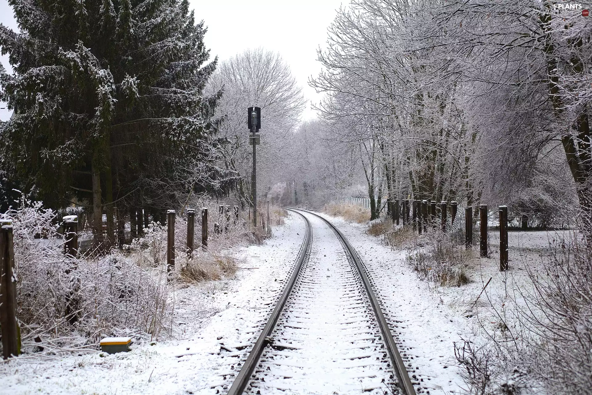 winter, viewes, Railroad Tracks, trees