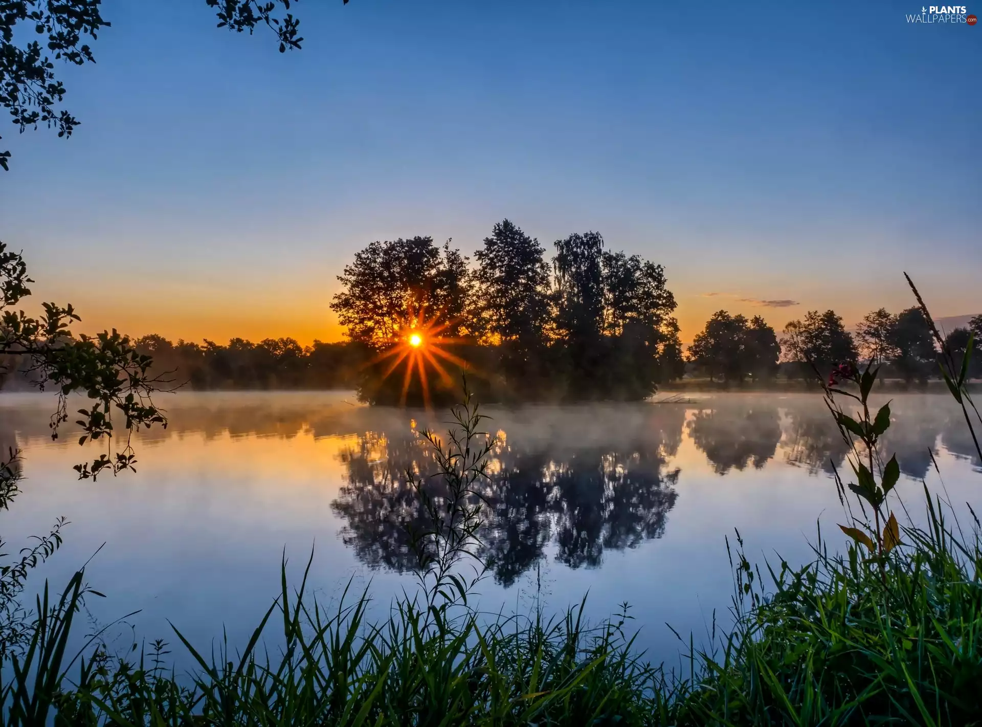 VEGETATION, trees, rays, viewes, River, reflection, sun