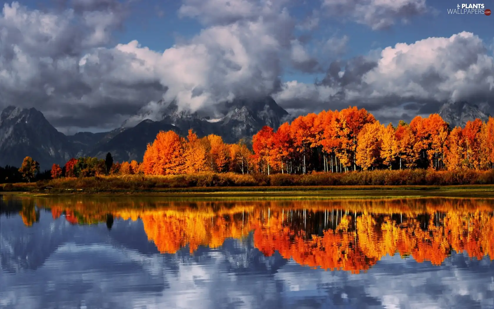 trees, clouds, lake, color, Mountains, viewes, reflection