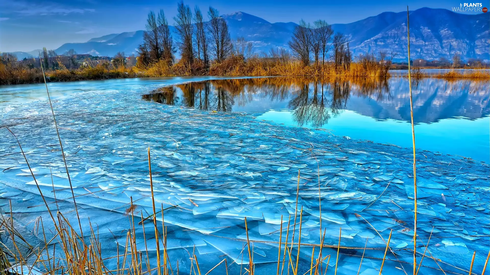 Icecream, grass, reflection, trees, Mountains, lake, winter, viewes