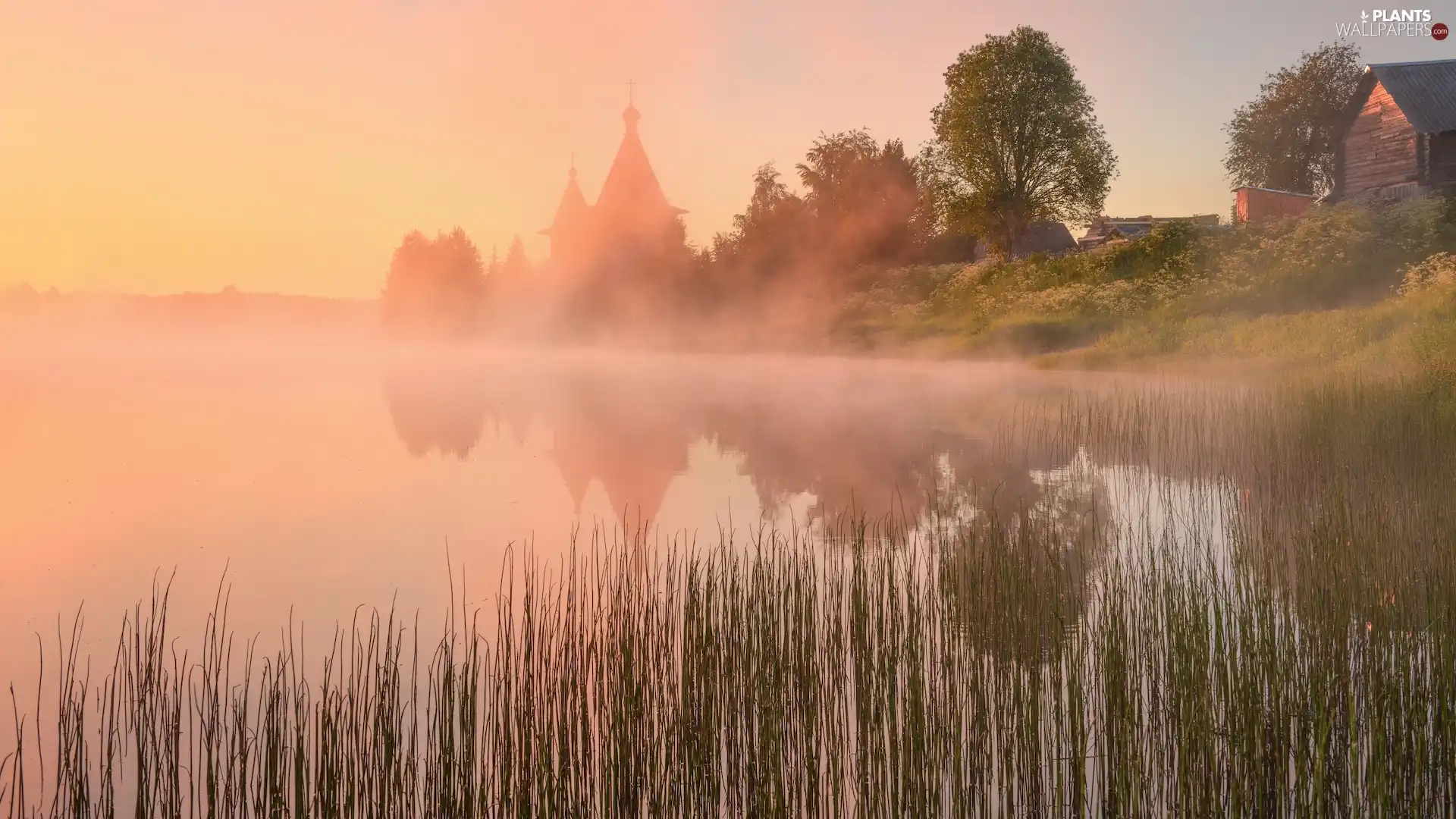 Cerkiew, Houses, reflection, trees, rushes, Fog, River, viewes