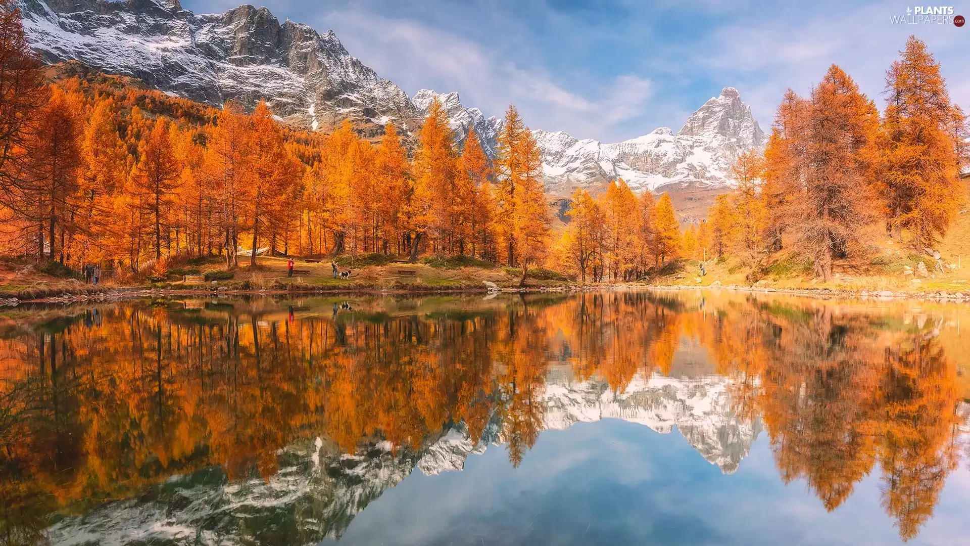peaks, lake, reflection, trees, autumn, Snowy, Mountains, viewes