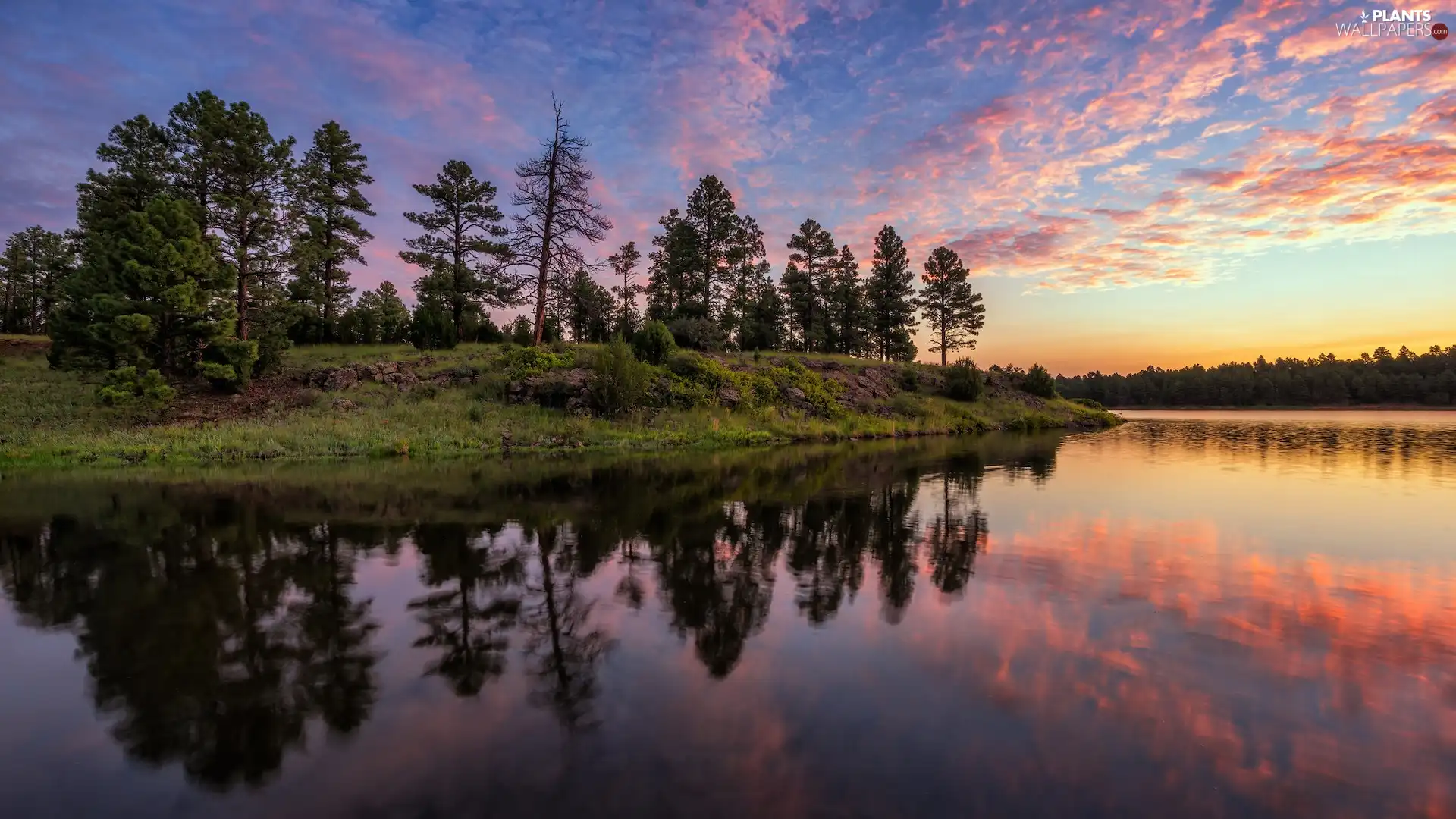 Sky, lake, reflection, trees, clouds, color, Sunrise, viewes