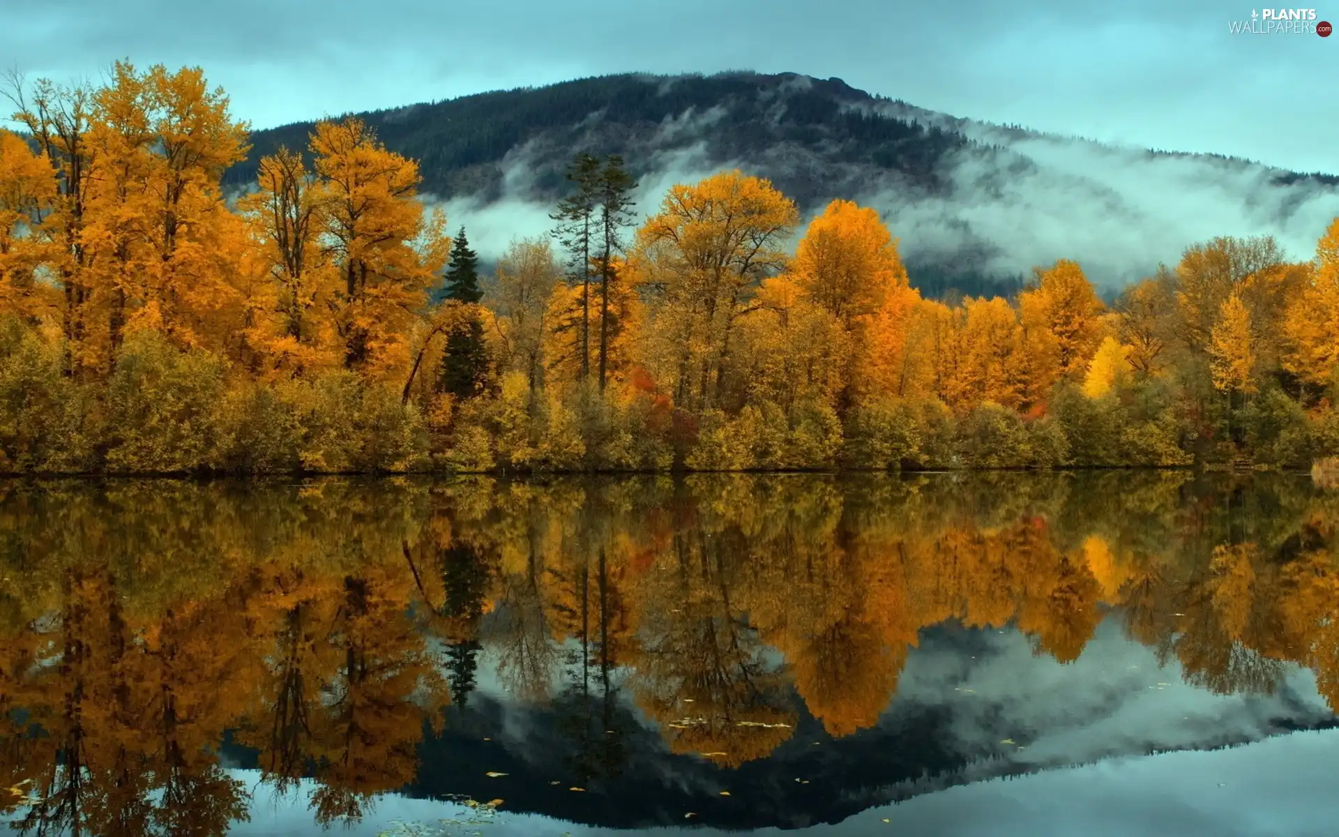 viewes, reflection, Mountains, trees, lake