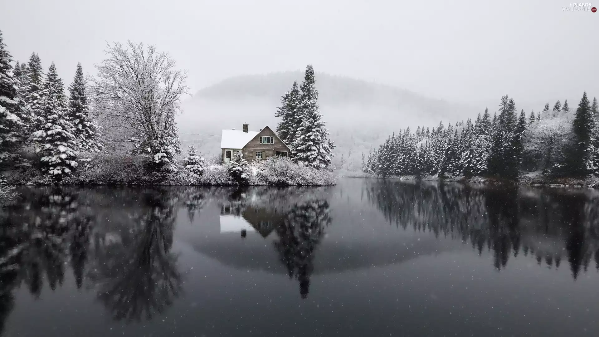 winter, snow, reflection, trees, Spruces, house, lake, viewes