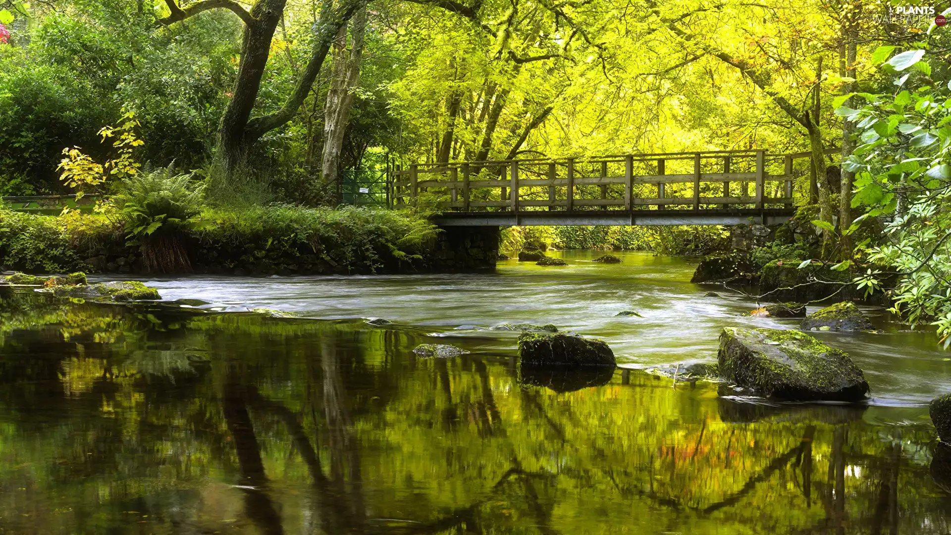 mossy, Stones, reflection, trees, VEGETATION, bridge, River, viewes