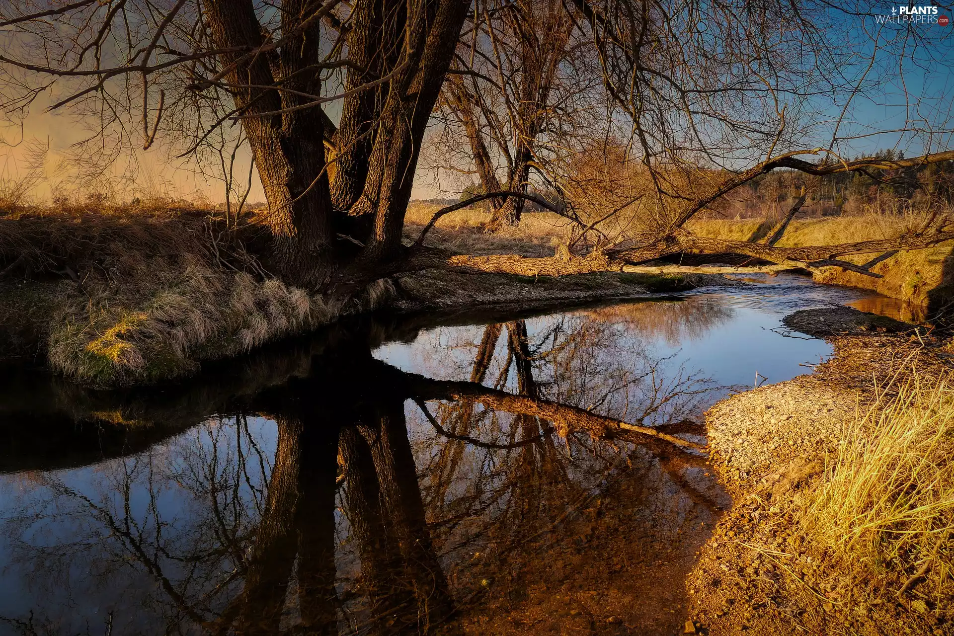 Great Sunsets, reflection, viewes, Pond - car, trees
