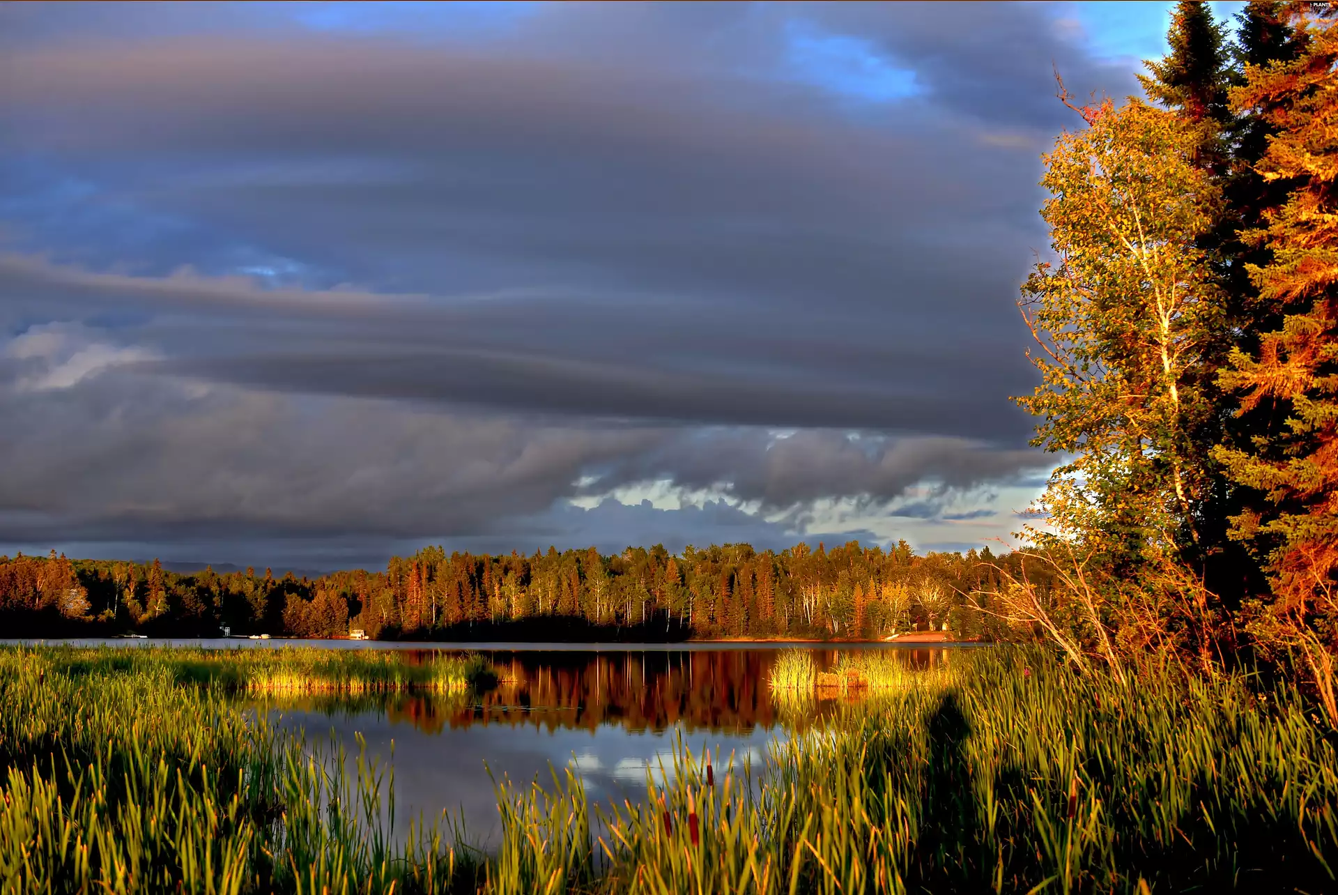 clouds, lake, trees, viewes, autumn, reflection