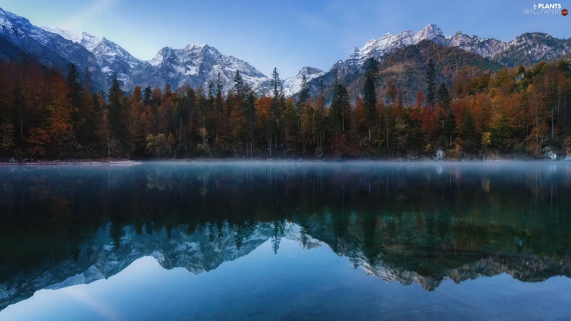 lake, Yellowed, reflection, trees, Fog, Mountains, Snowy, viewes