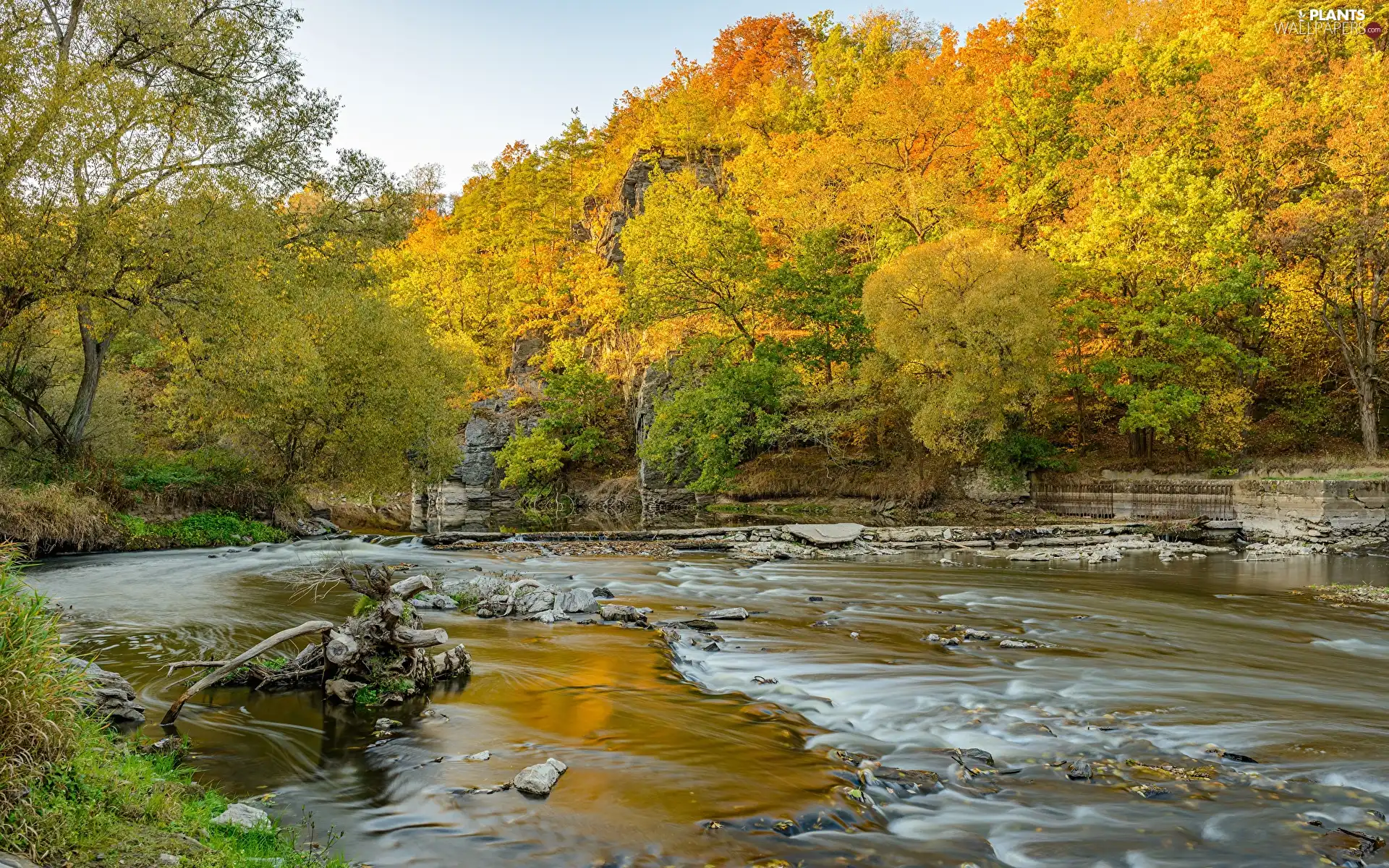 trees, viewes, River, rocks, autumn