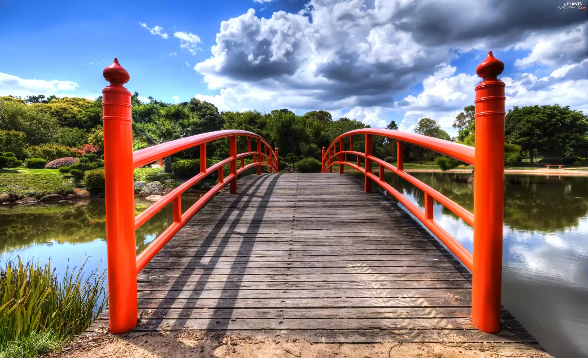 trees, viewes, River, clouds, bridges