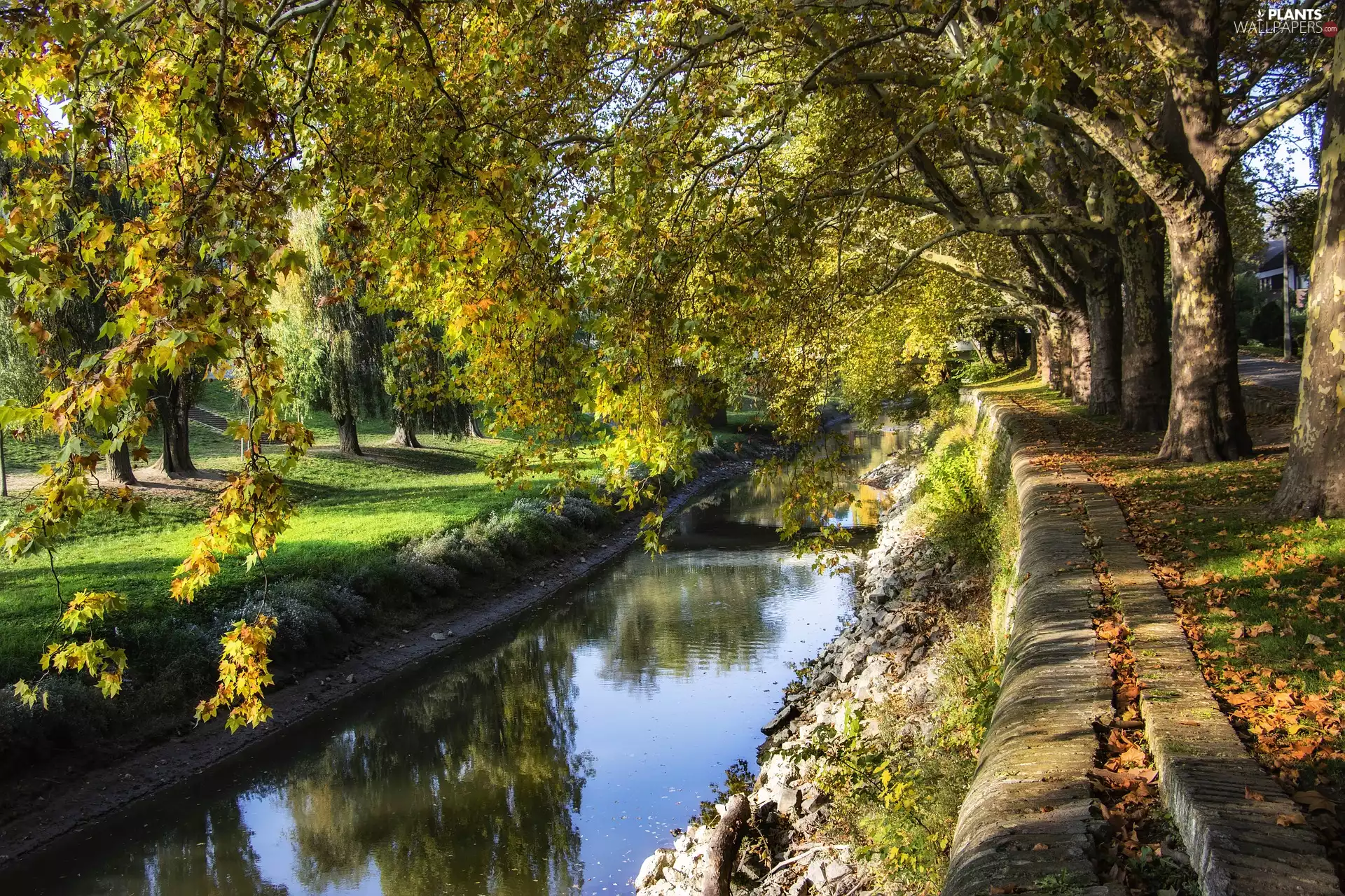 trees, viewes, River, Park, canal