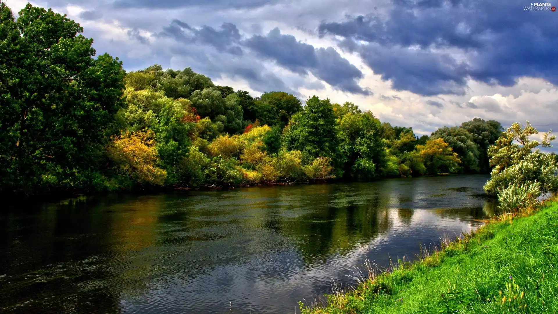 trees, viewes, River, grass, clouds