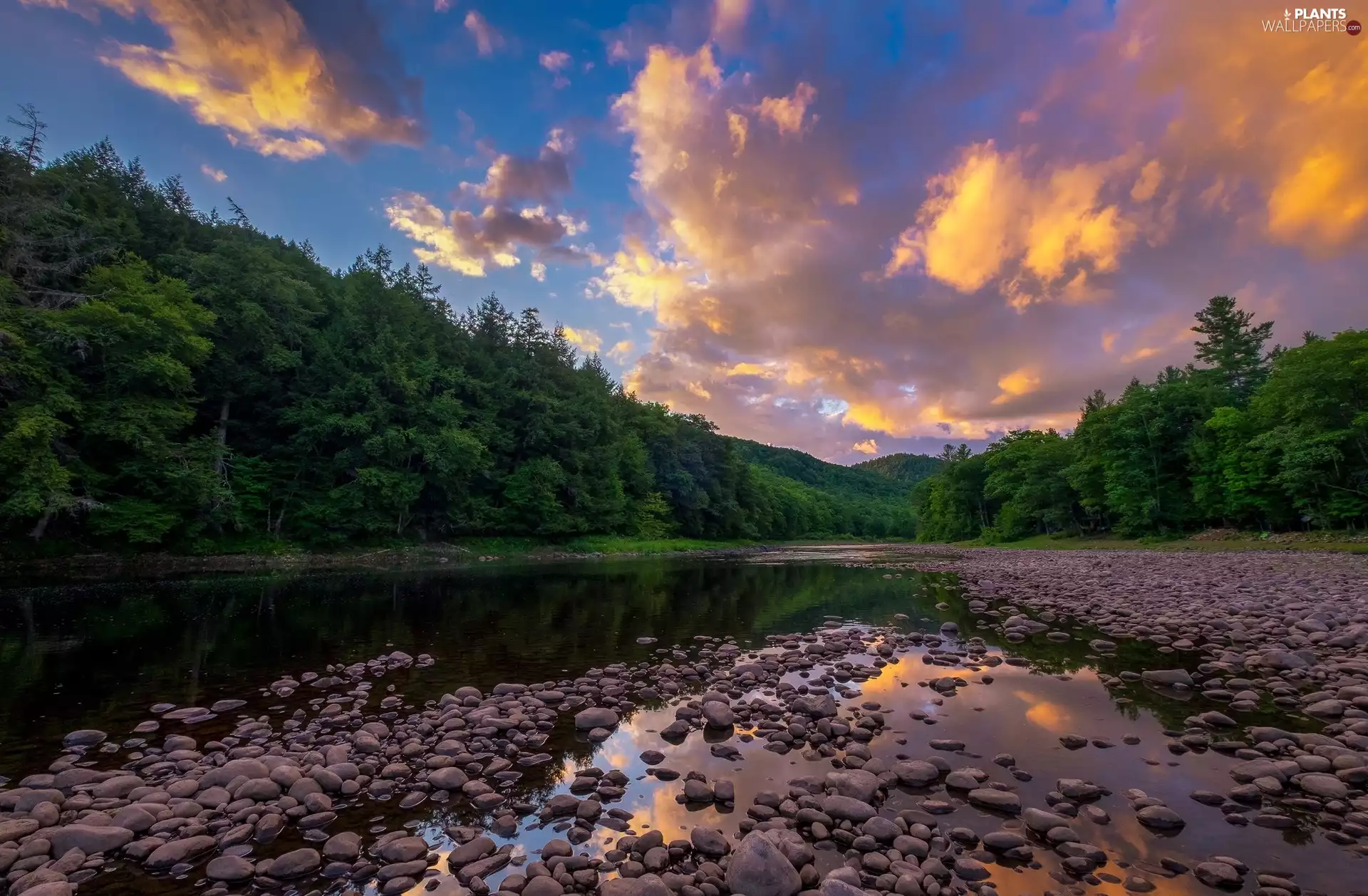 trees, viewes, River, Stones, clouds