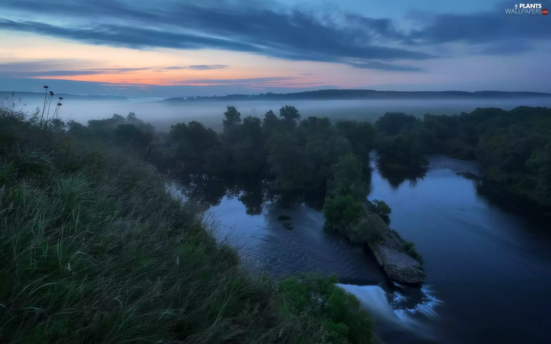 trees, viewes, River, grass, Fog