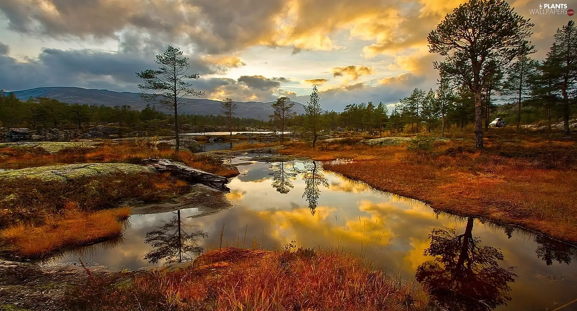 trees, viewes, River, clouds, medows