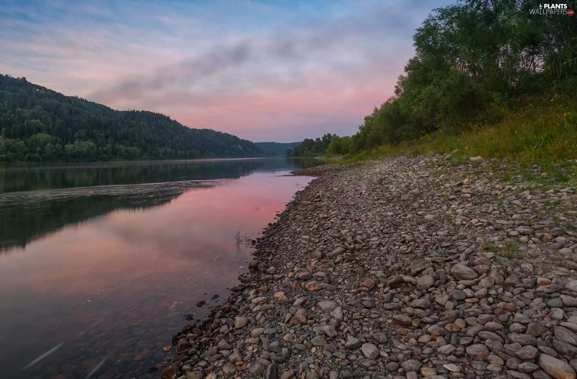 trees, viewes, River, Stones, morning
