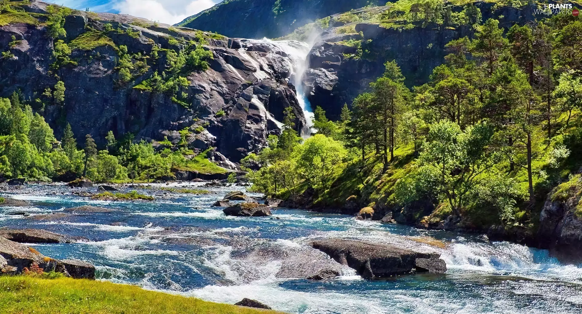 trees, viewes, River, Stones, Mountains