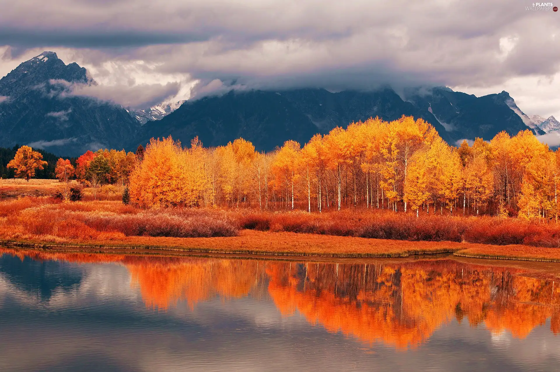 viewes, River, Orange, trees, Mountains