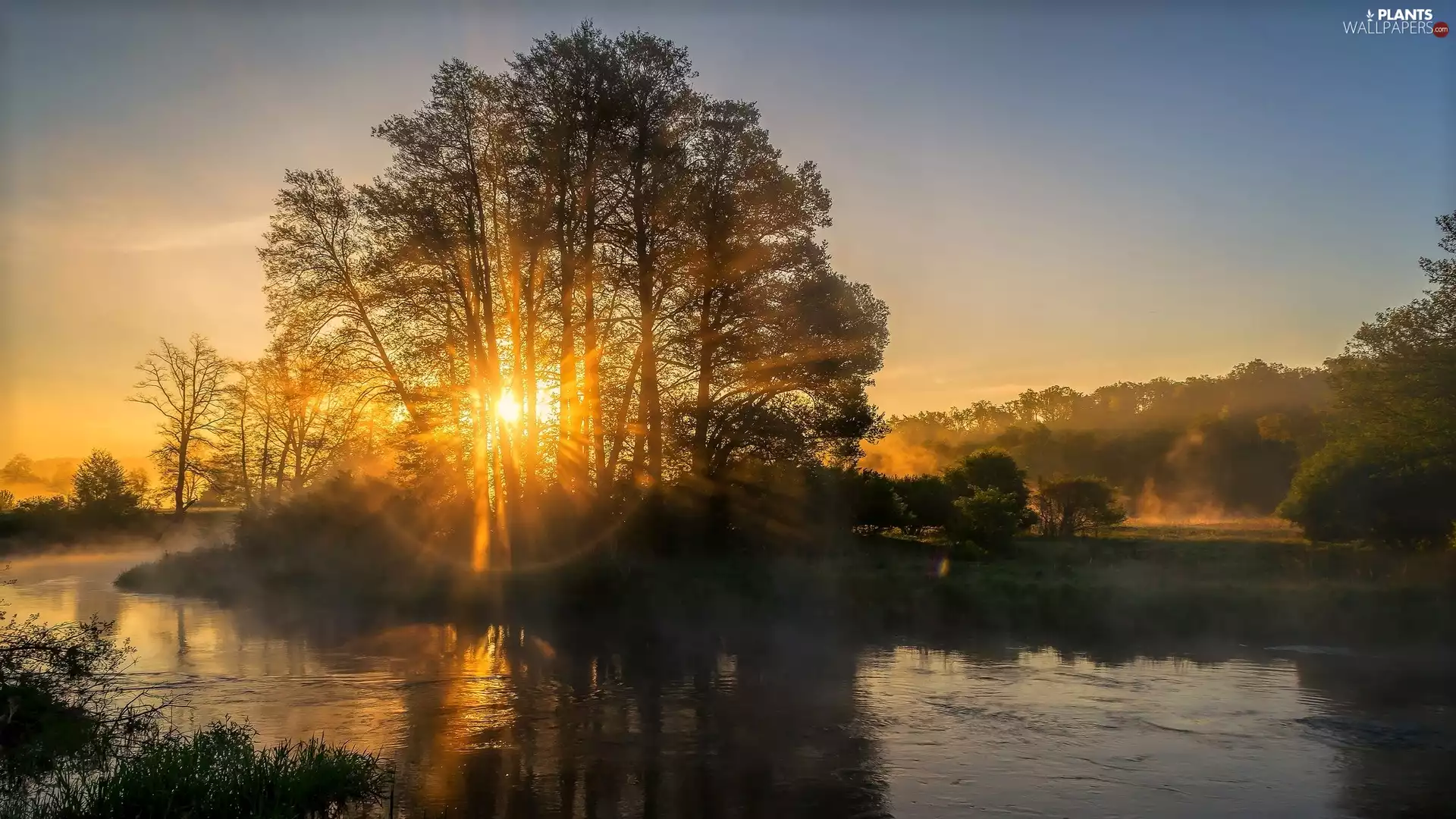 Fog Rays of Sun, trees, trees, viewes, River, Great Sunsets, viewes