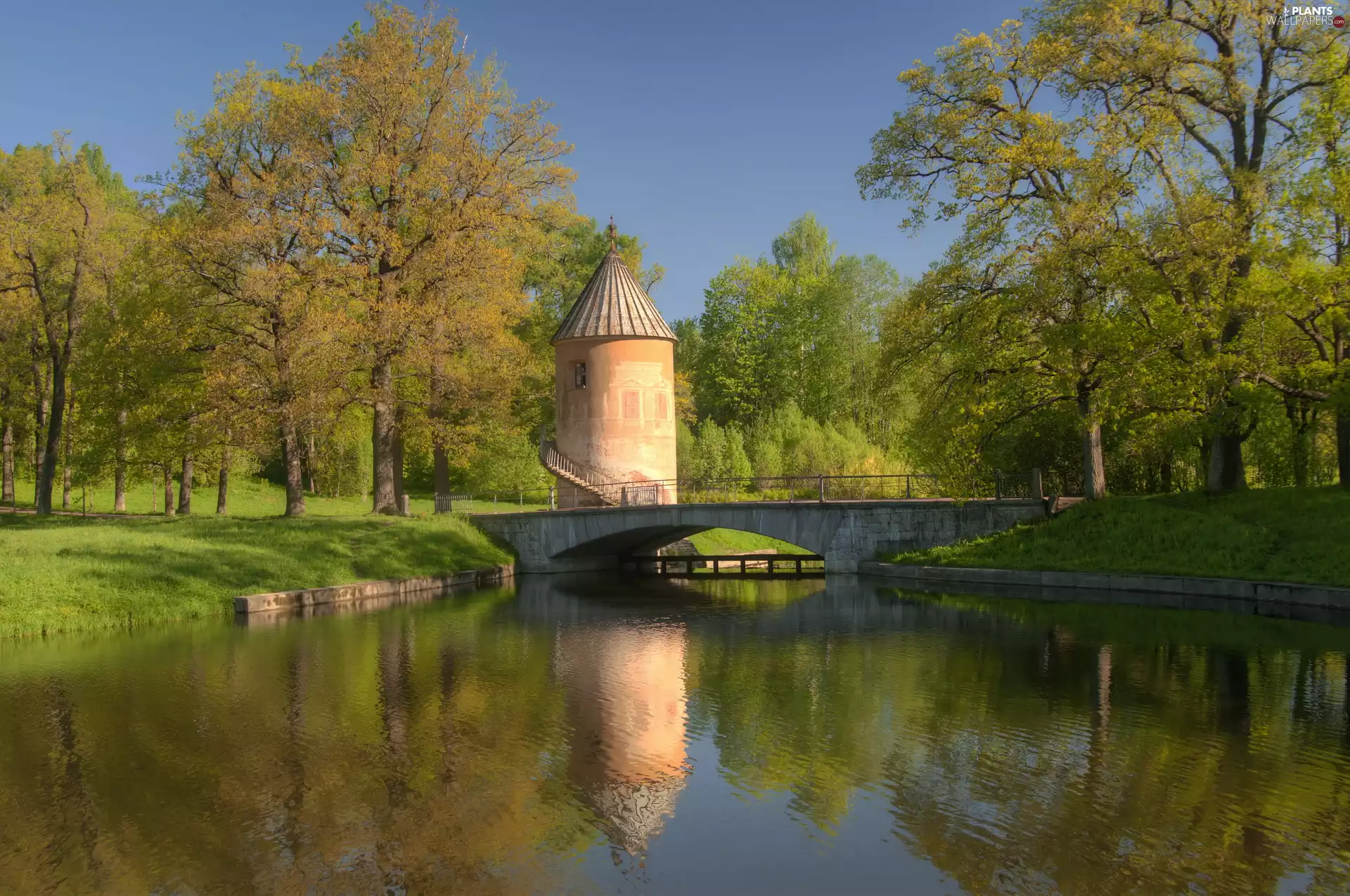 trees, viewes, River, bridges, Park