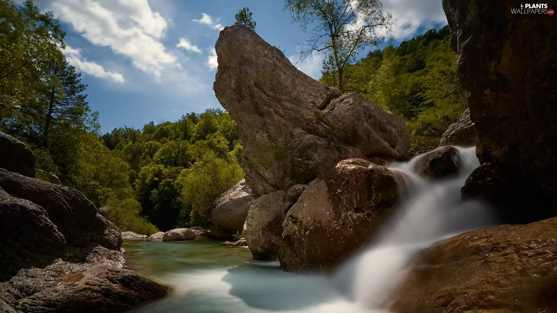 trees, viewes, River, waterfall, rocks