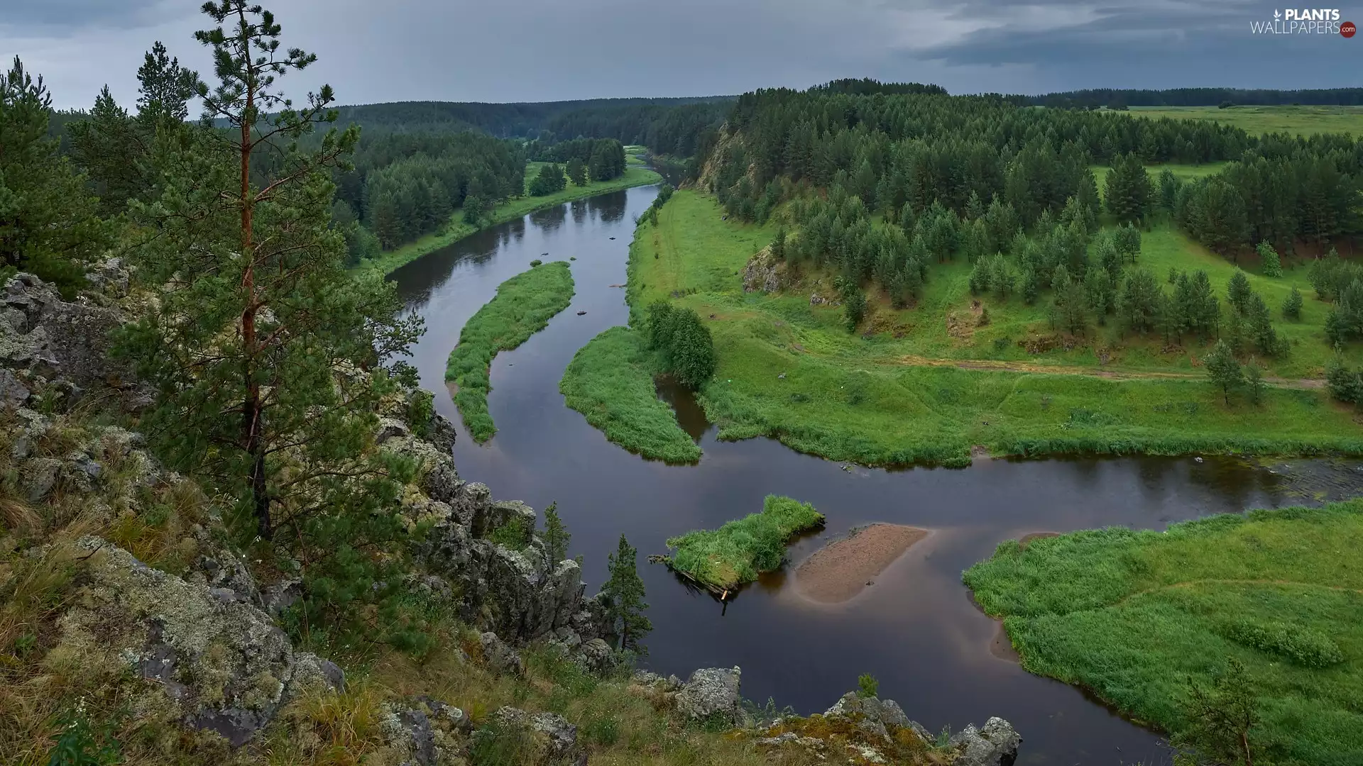 trees, viewes, River, rocks, summer
