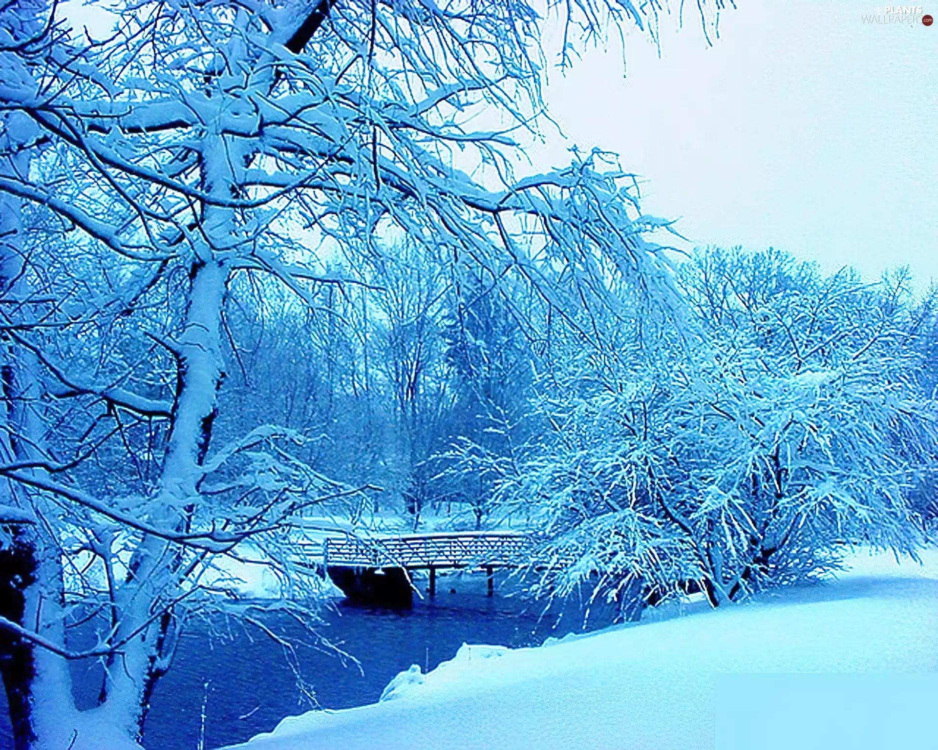 bridges, winter, trees, viewes, Snowy, River