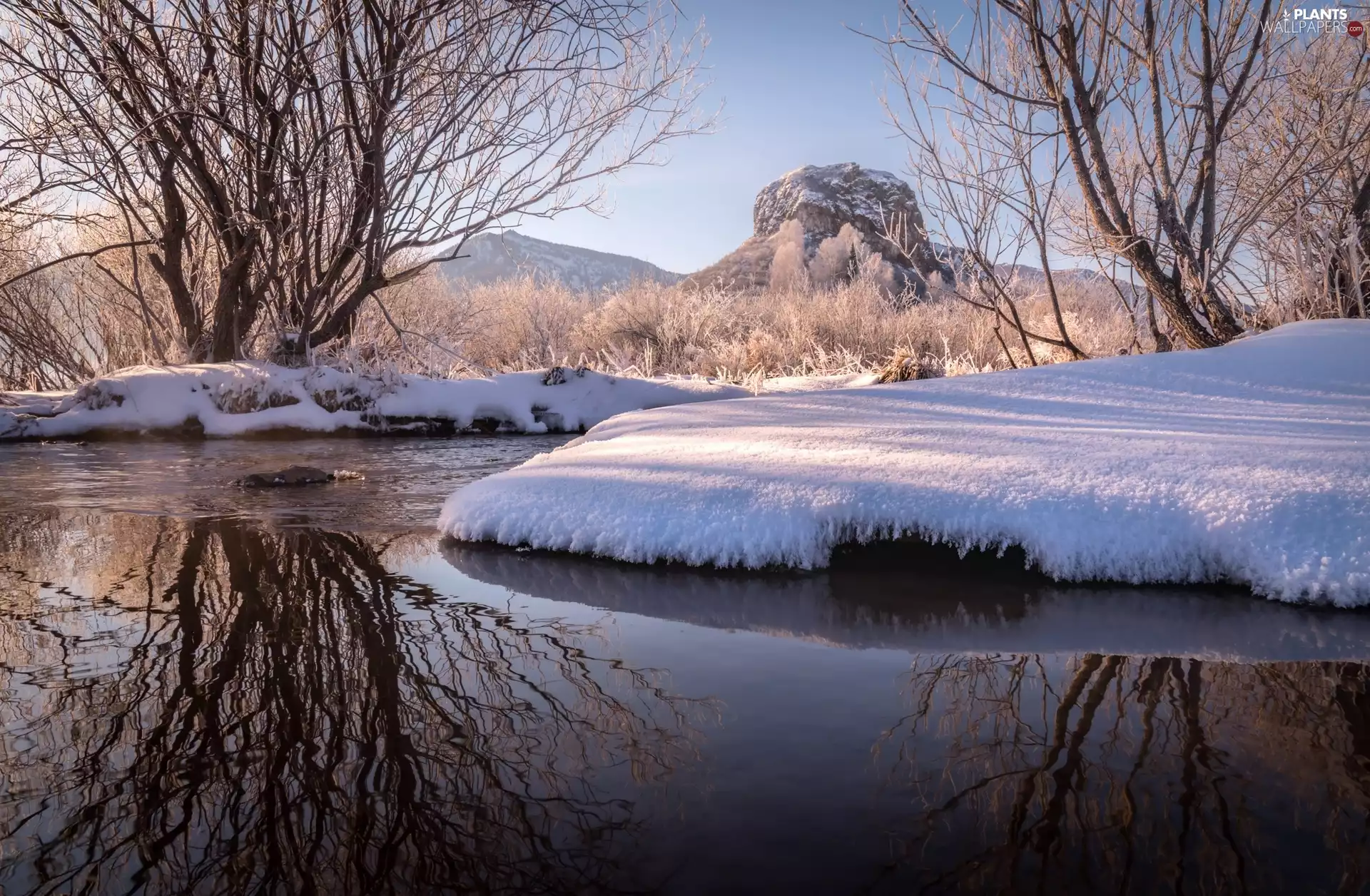 curve, winter, trees, viewes, mountains, River