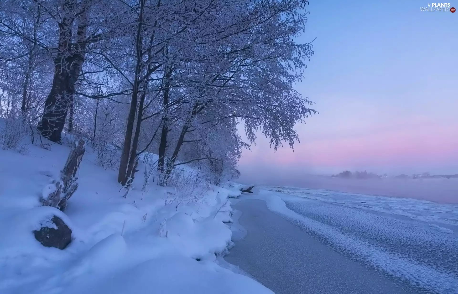 Fog, winter, trees, viewes, Snowy, River