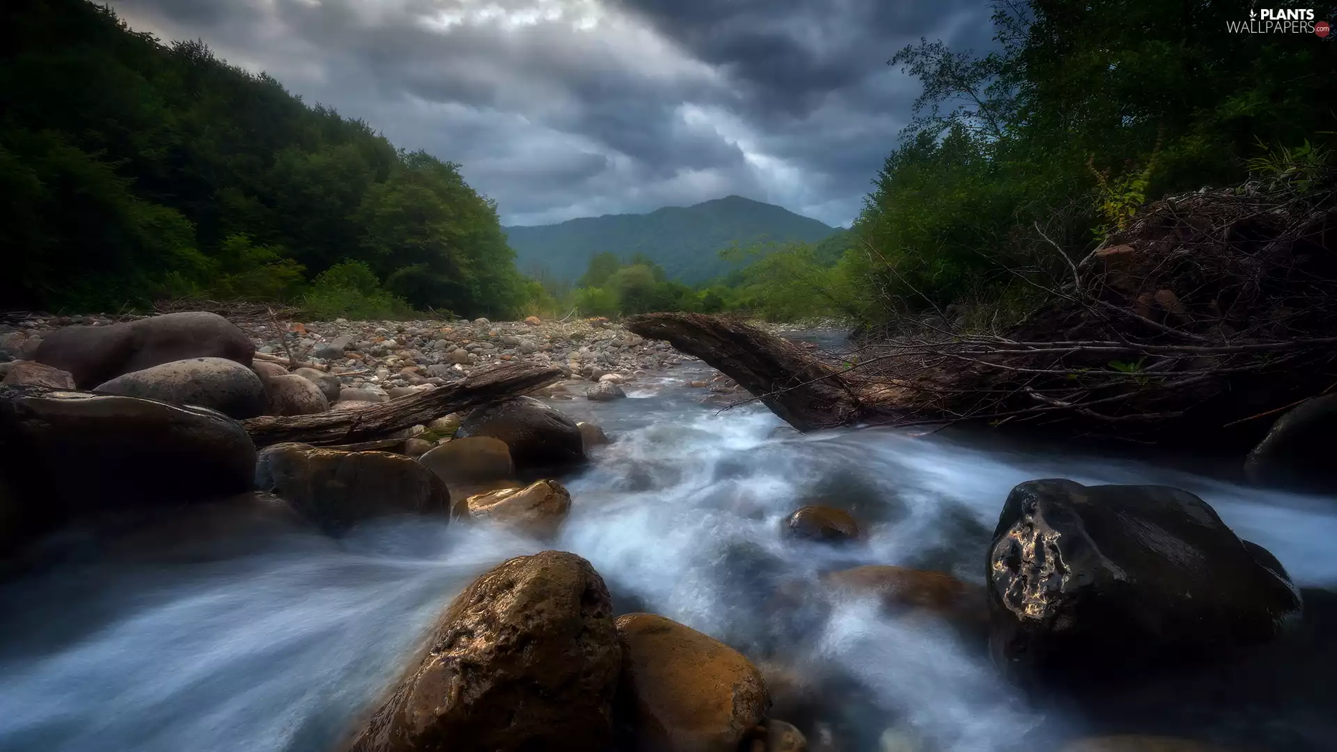 Mountains, tear, trees, viewes, Stones, River