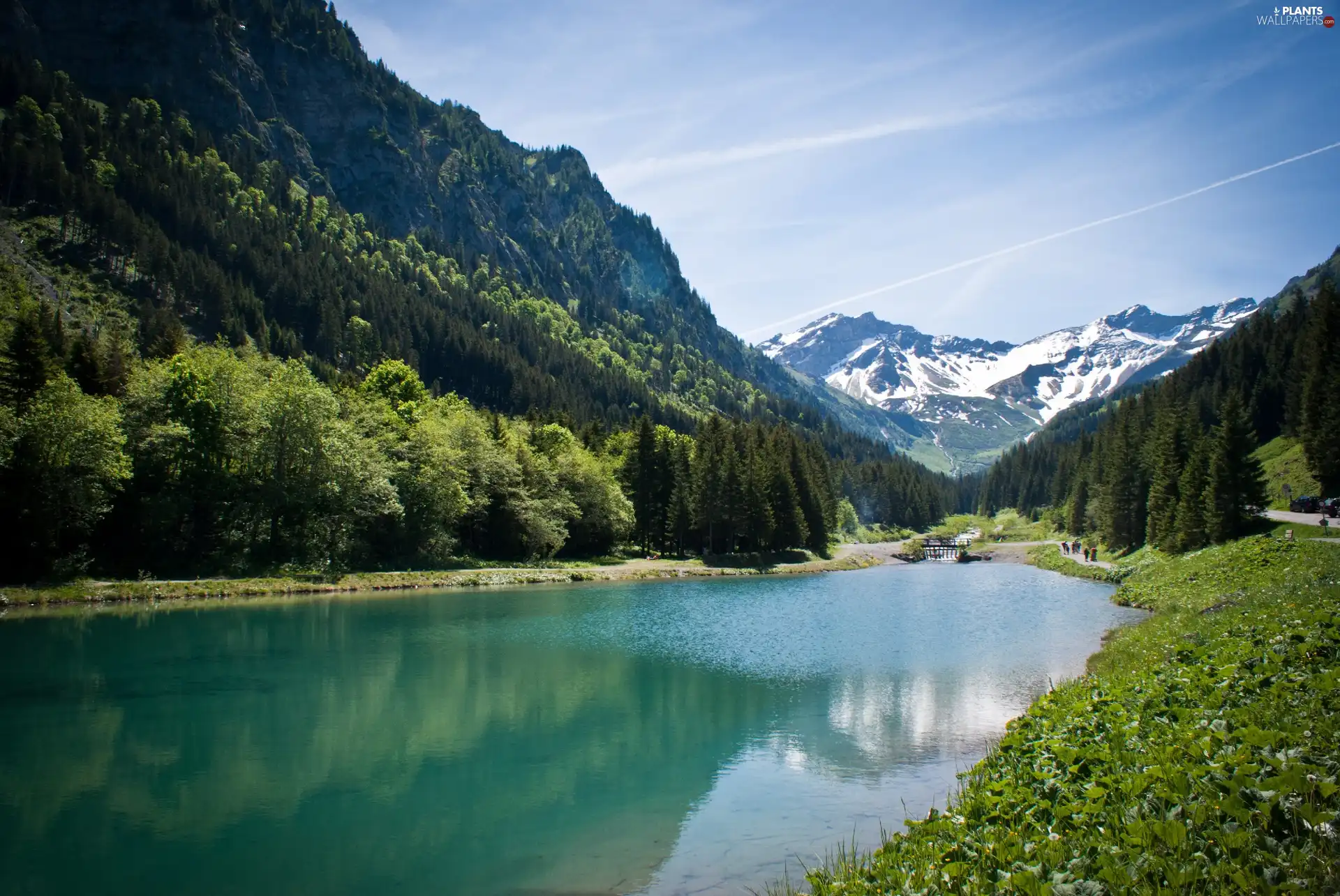 River, trees, viewes, Mountains